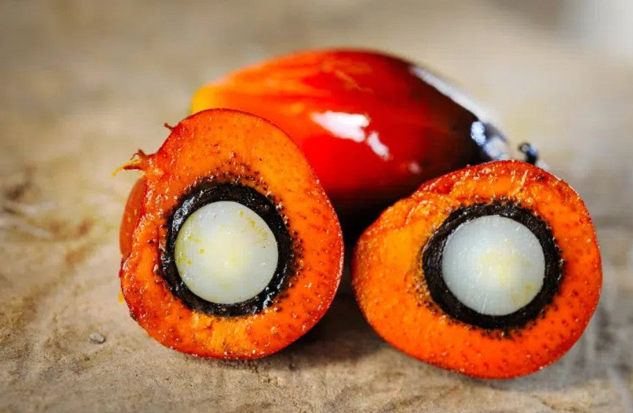 Batana Oil for Hair: Benefits, How to Use It and Frequently Asked Questions
