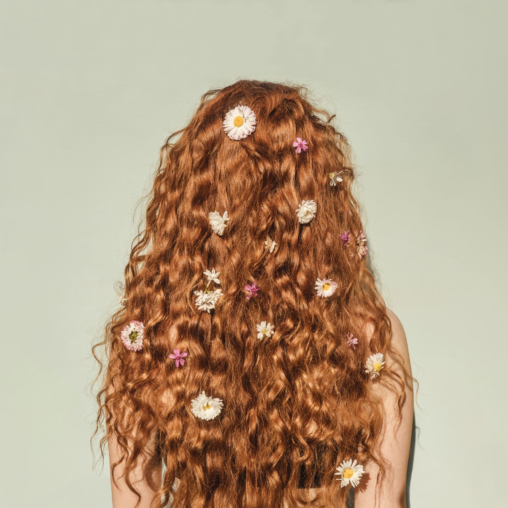 Premium hair growth oil for dry damaged and thinning hair