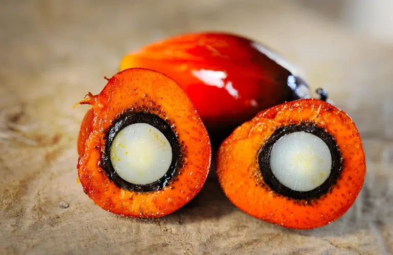 Batana Oil nut
