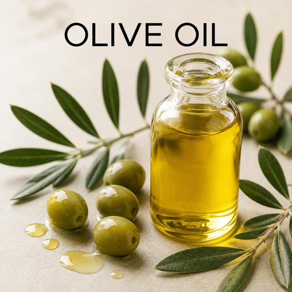 Olive Oil